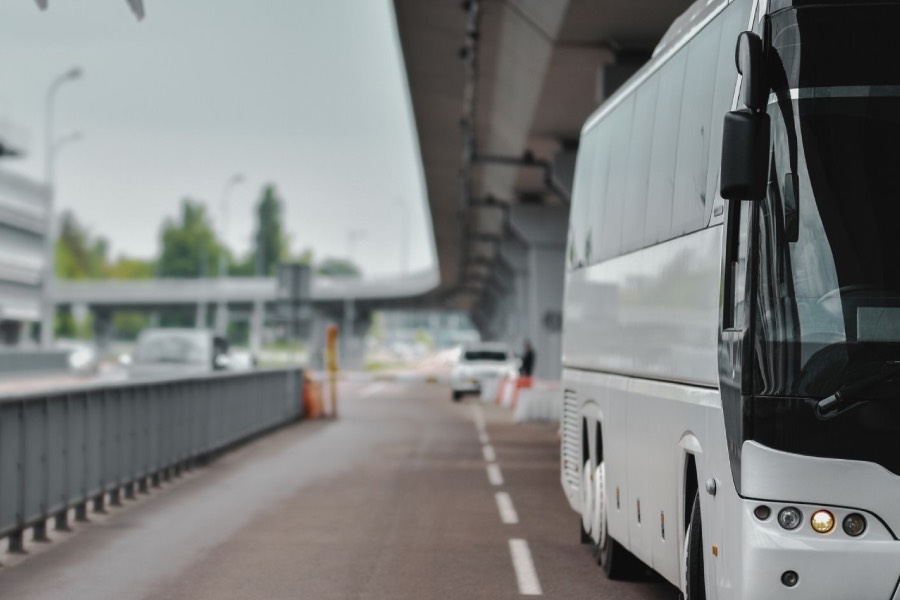 bus transport services